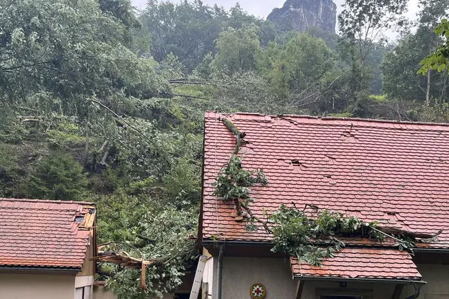 Unwetterschäden am Dach der Berwachthütte Rathen: fehlende und kapuute Dachziegel, umgestürzte Bäume